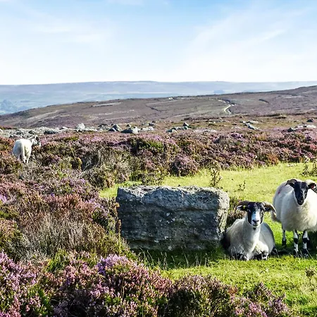 Feriehus The Engine Shed Battersby